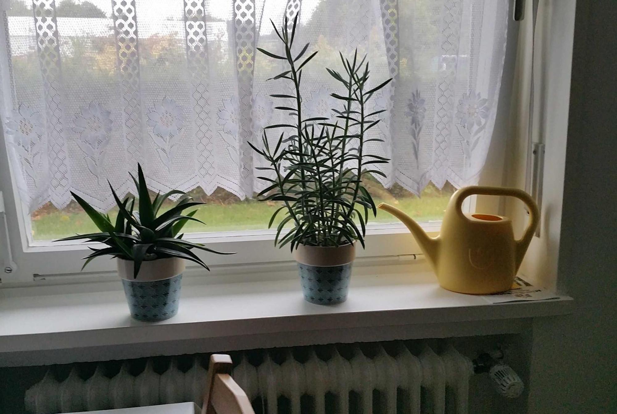 Ferienwohnung Rombachs Spatzennest 黑尔博尔茨海姆 外观 照片